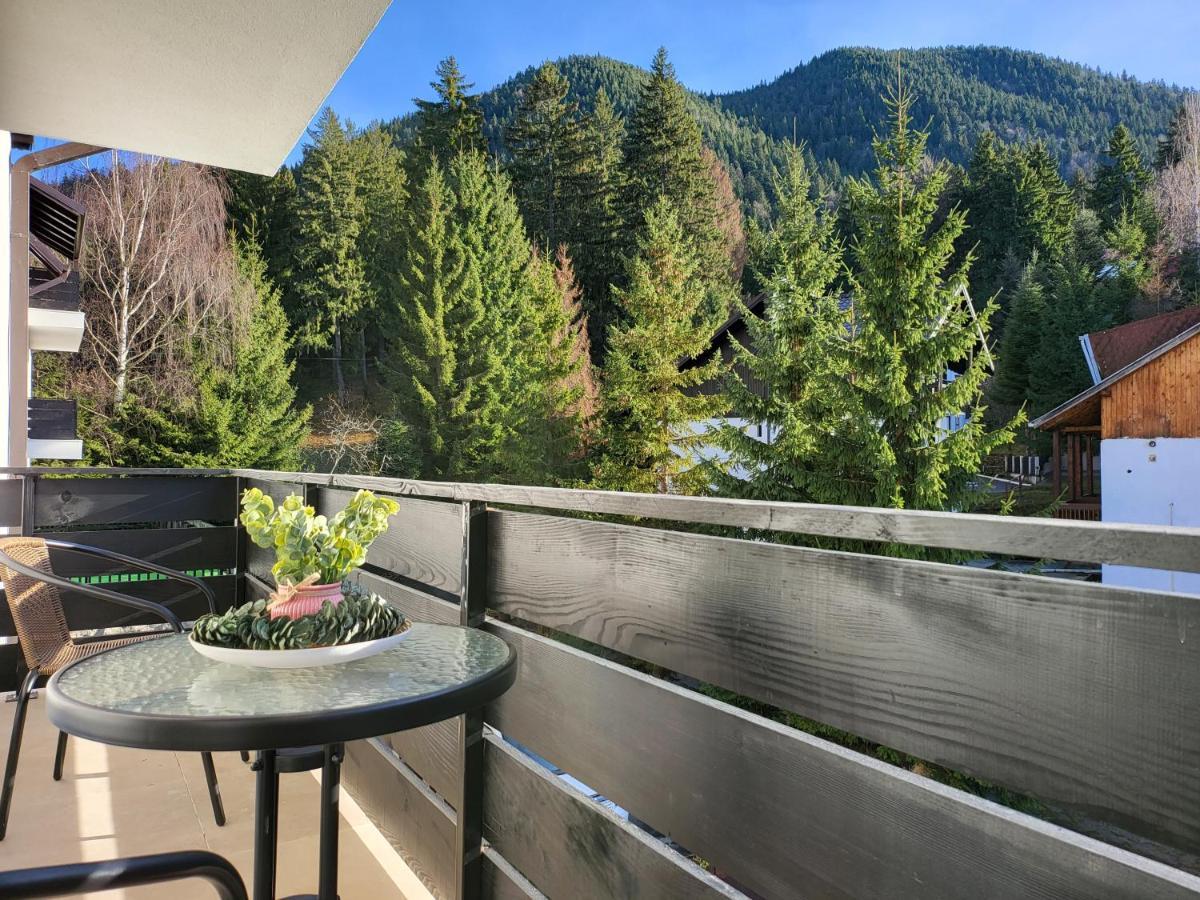 Dinvis Apartments Poiana Brasov Exterior photo