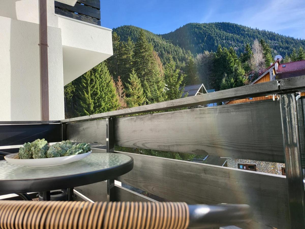Dinvis Apartments Poiana Brasov Exterior photo